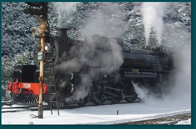 Steam Train