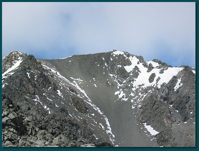 Arthurs Pass Kea