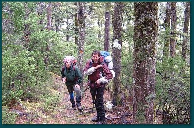 Forest Hike